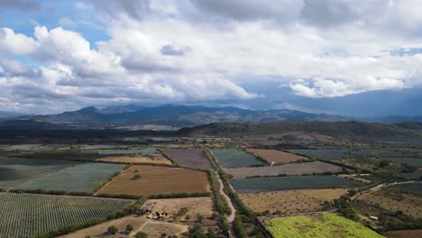 beautiful crop fields that form patterns, san pedro lagunillas, nayarit, mexico