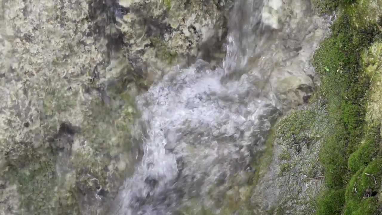 Ruscello che scorre su pietre muschiose nella natura, al rallentatore