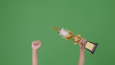 raised hands of a man are holding a trophy. green screen background