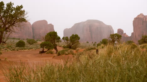 Paisaje-Escénico-Del-Desierto-Brumoso-Del-Valle-Del-Monumento-En-Utah,-Terreno-Desértico-Del-Suroeste-De-América-Con-Hermosas-Formaciones-Rocosas-En-El-Fondo---Toma-De-Paisaje-Deslizante