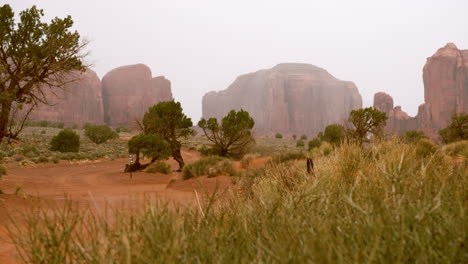 valle del monumento paisaje desértico nebuloso escénico en utah, estados unidos terreno desértico suroeste con hermosas formaciones rocosas en el fondo - paisaje deslizante disparado