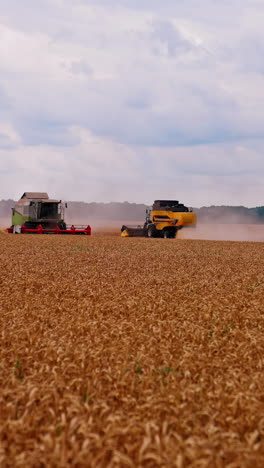 season of gathering crops. agricultural machines working in farmland during harvesting. vertical video