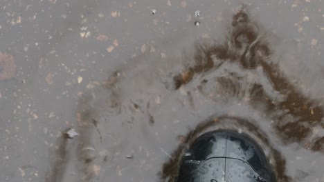 top view of foot in black rubber boot in a puddle