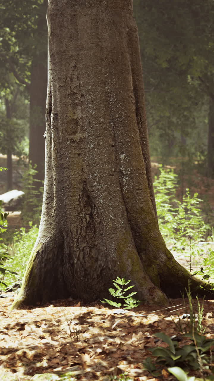 el majestuoso tronco de un árbol en un bosque exuberante