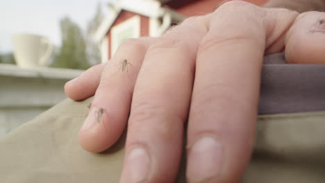 hombre caucásico golpea a los mosquitos molestos en la mano tratando de chupar sangre