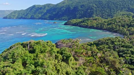 wodded rainforest coast with turquoise blue ocean water, aerial forward