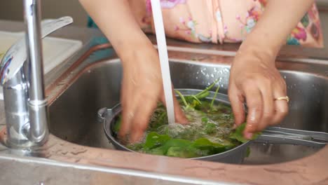 una mujer lavando verduras en el fregadero de la cocina