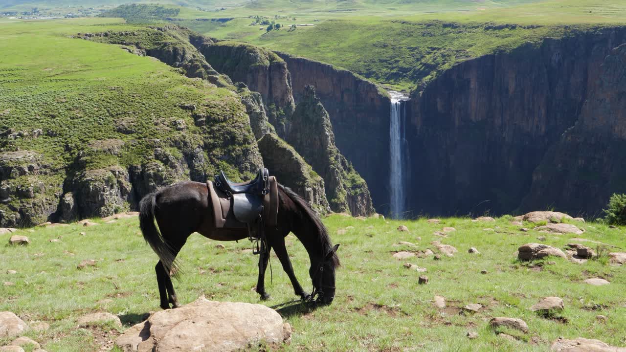 caballo castaño oscuro ensillado come hierba en maletsunyane falls, lesotho