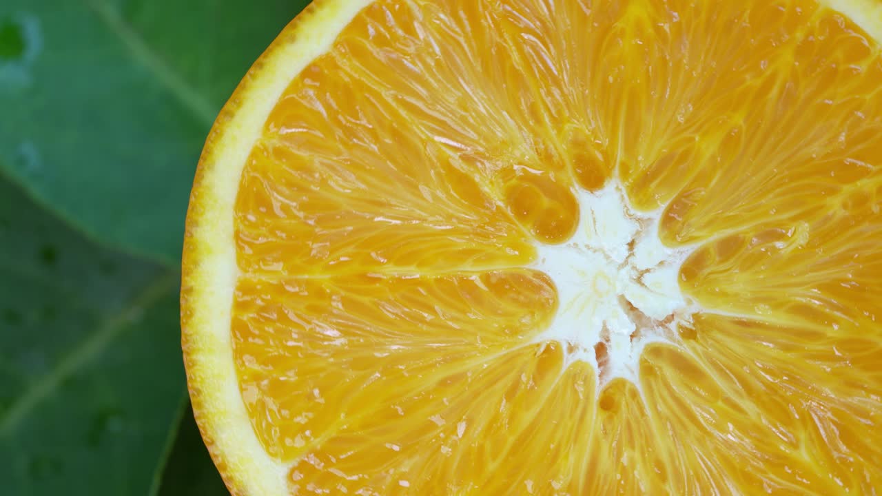 뷰: 초록색 잎 바탕에 오렌지 조각을 회전시키고, 색 바탕에 신선한 오렌지를 잘라서 천천히 회전시니다.