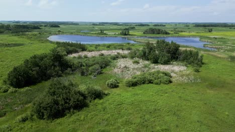 Eine-Sich-Drehende-Drohne-Fliegt-Zur-Vermessung-über-Einem-Sommerlichen-Grasbewachsenen-Wald-Am-Ufer-Einer-Insel-Mit-Blauem-Wasser,-Feuchtgebiet,-Grasland-Im-Freien,-Natur,-See,-Lebensraum,-Ackerland,-Feldfrucht,-Parklandschaft-In-Manitoba,-Kanada