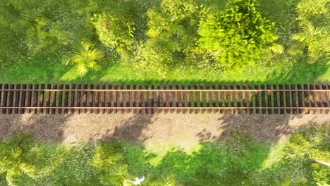 Top-view-of-railways-inside-a-forest-environment-with-trees,-bushes,-grass-and-flowers-3D-animation-camera-dolly-right