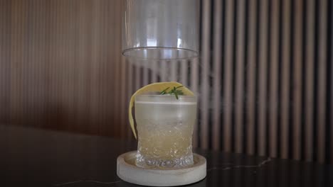 smoking refreshing cocktail in glass, serving beverage