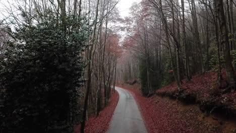 imágenes aéreas de la carretera entre bosques con colores otoñales en las montañas catalanas