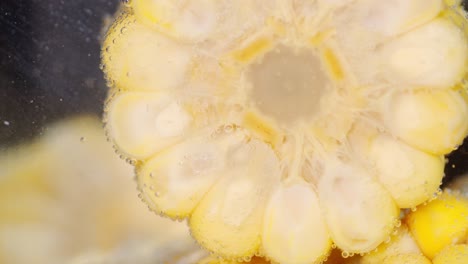 round cut corn under water with air bubbles.