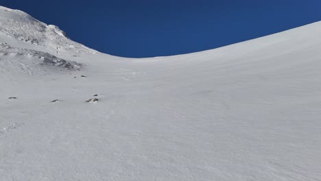 Vast-snowy-landscape-with-Bucegi-Mountains-background,-clear-blue-sky,-no-people