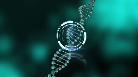 animation of scope scanning over dna strand on gray and black background