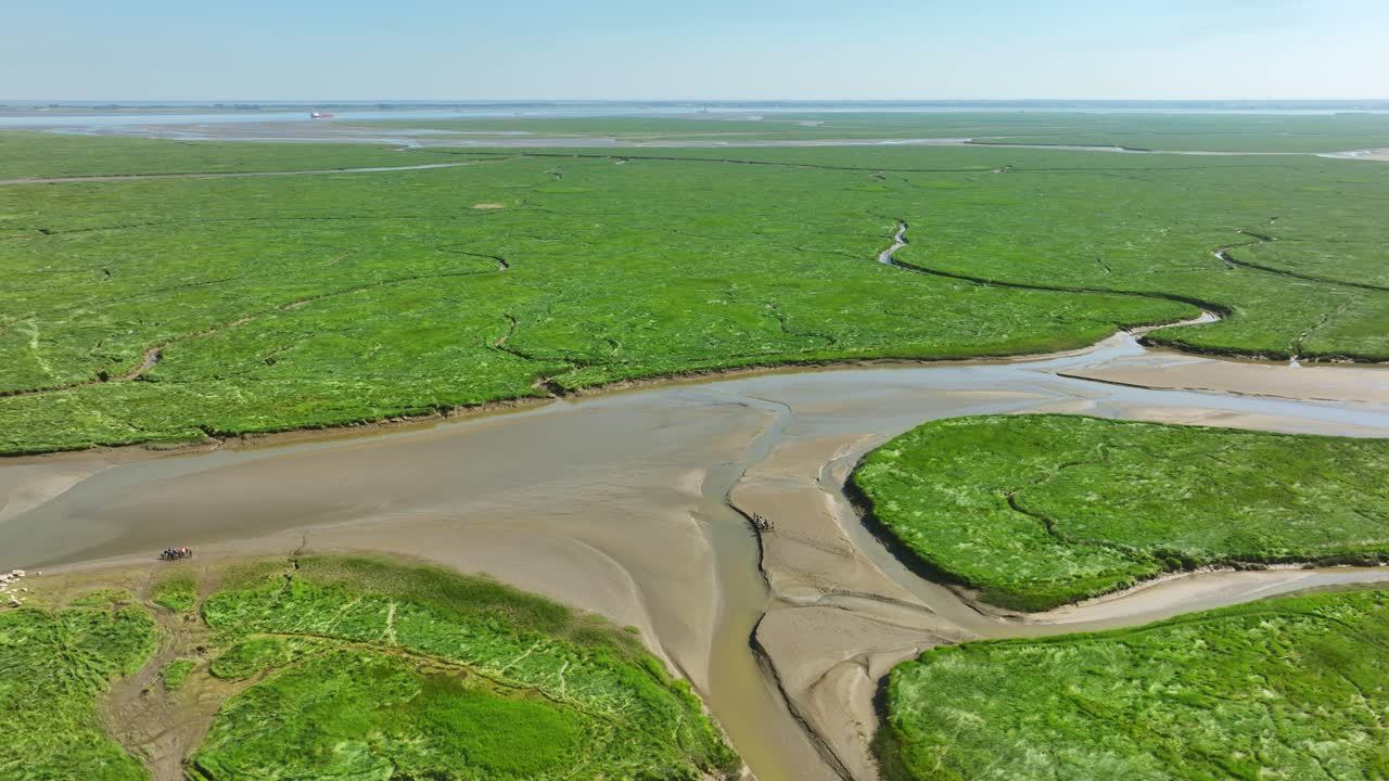toma aérea larga de humedales verdes brillantes con hierba, arbustos y pequeños ríos que desembocan en el mar, en un parque natural