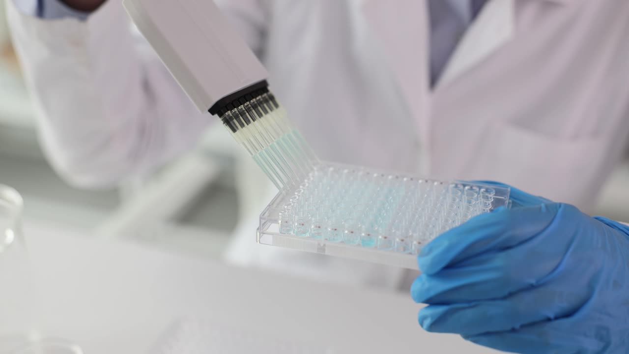 Scientist performing a laboratory experiment with a multi-channel pipette and a multi-well plate