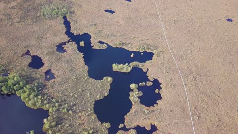 hermosa vista aérea de pájaro del paisaje pantanoso con