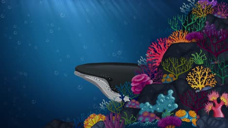 animated whales swimming past vibrant coral reef