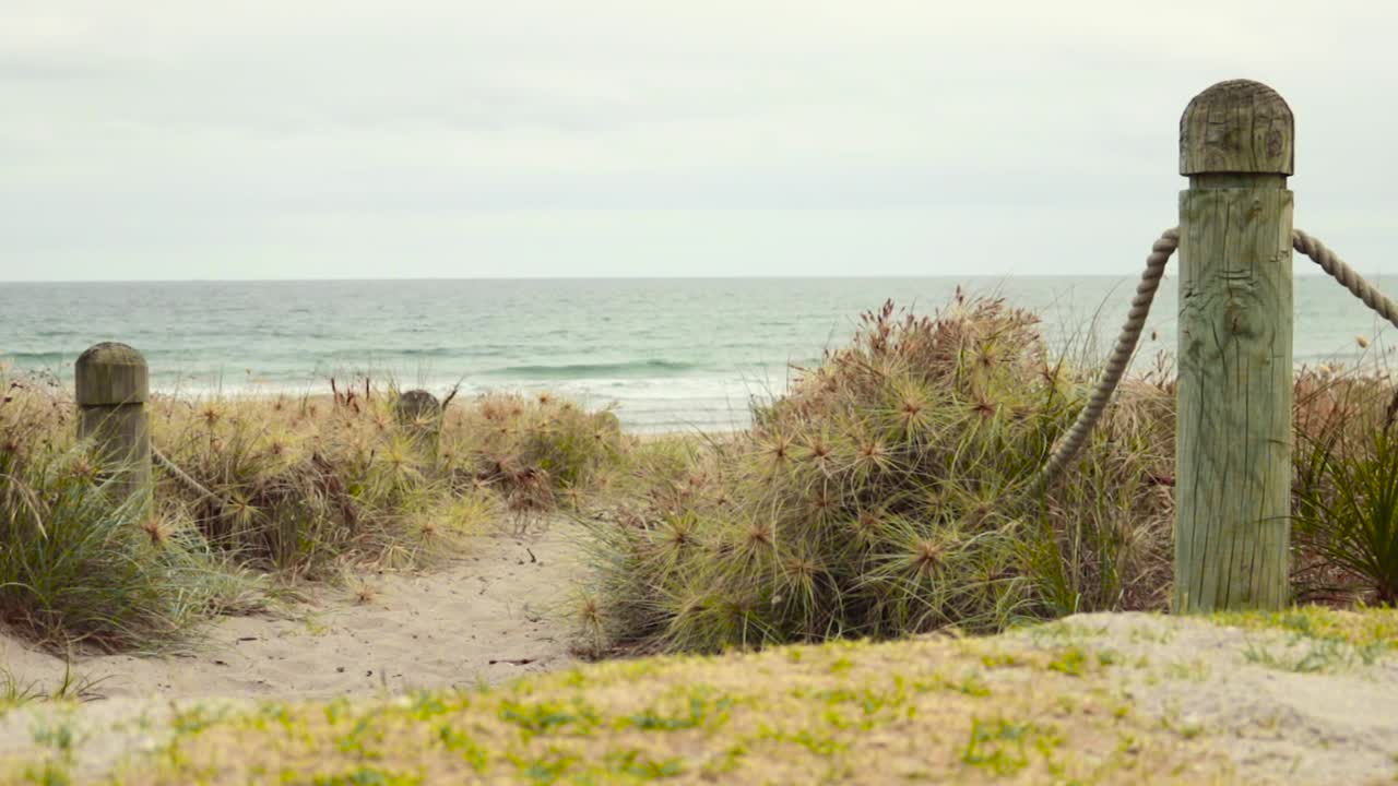 Sitting on a beach view in tauranga while listening to the wind and sea blows.