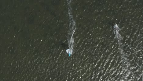 drone - toma aérea superior de surfista en un mar azul, ondulado y ventoso en un día soleado, 30p