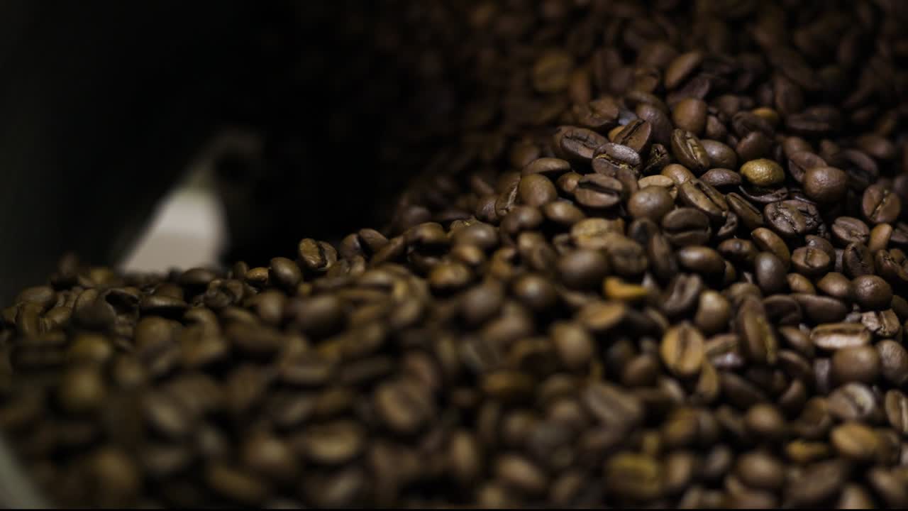 Chicchi di caffè a tostatura scura appena torrefatti