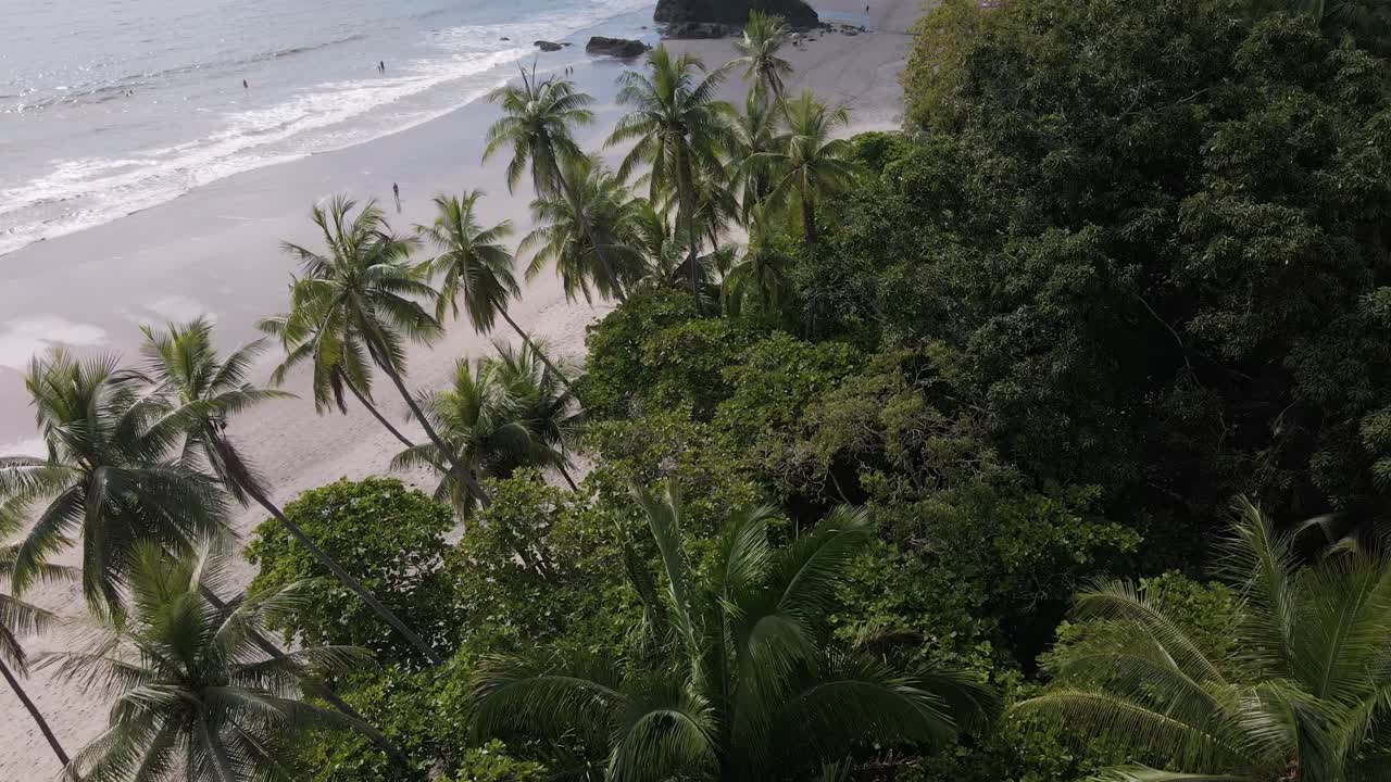 vuelo de drones justo por encima de las copas de las palmeras hacia la costa y la playa de playa playitas en costa rica