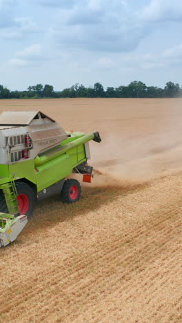 two harvesters following one another in the field. agricultural machines harvesting bread in summer season. vertical video
