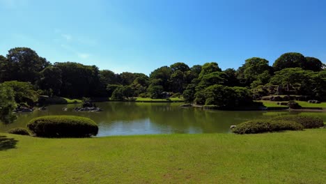 el hermoso parque de tokio.