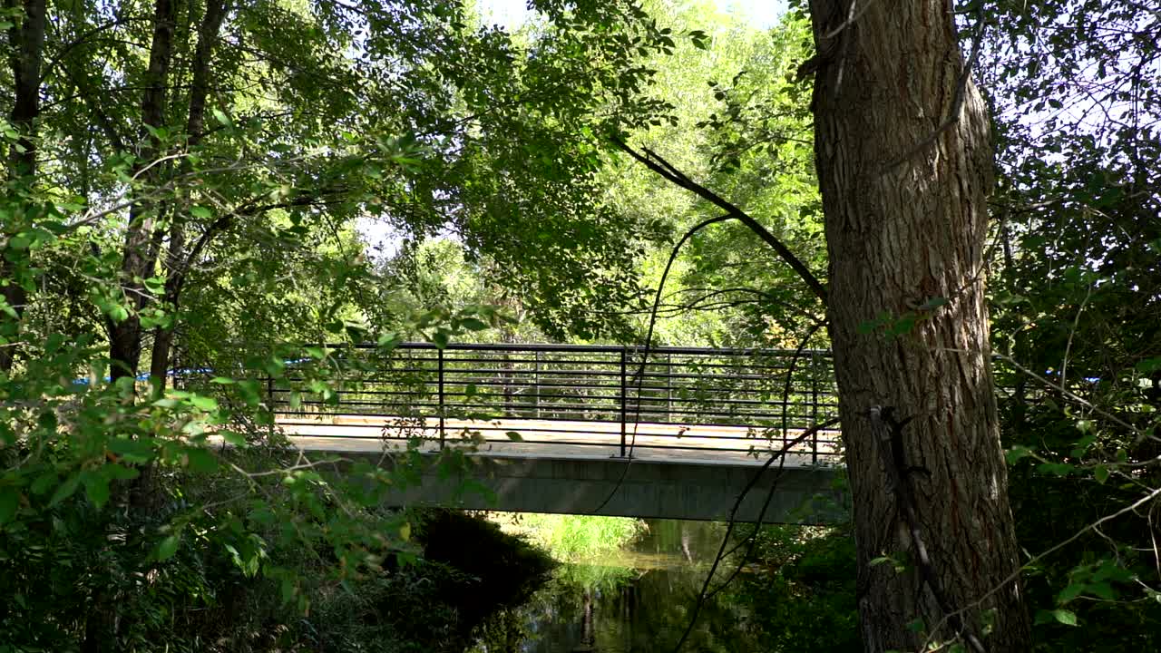 Person biking on a bridge in a park