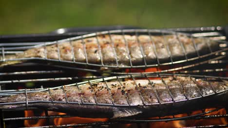 tasty whole fishes placed on barbecue grill