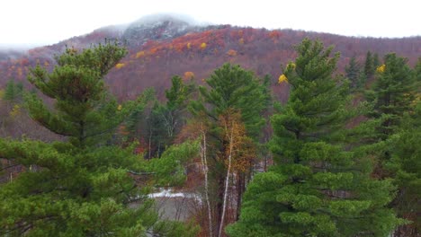 panoramic forest on mount washington new hampshire landscape fall colors aerial drone shot