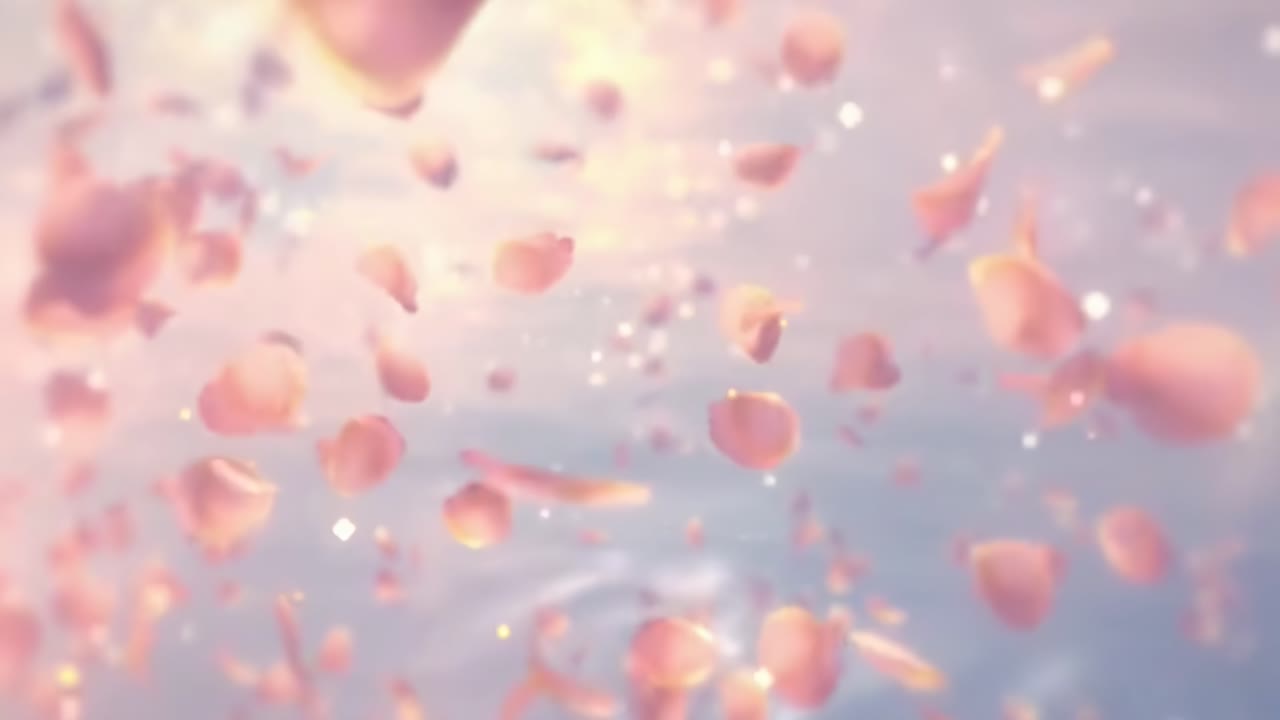 Pétalas rosa-claras flutuam no ar, capturadas de um ângulo baixo, criando um efeito de vídeo sonhador