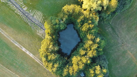 el dron captura la belleza de un estanque tranquilo rodeado de árboles en los campos de baviera.