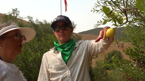 una mujer ciega toca la fruta en un árbol en un área natural con un guía que la ayuda a explorar el desierto