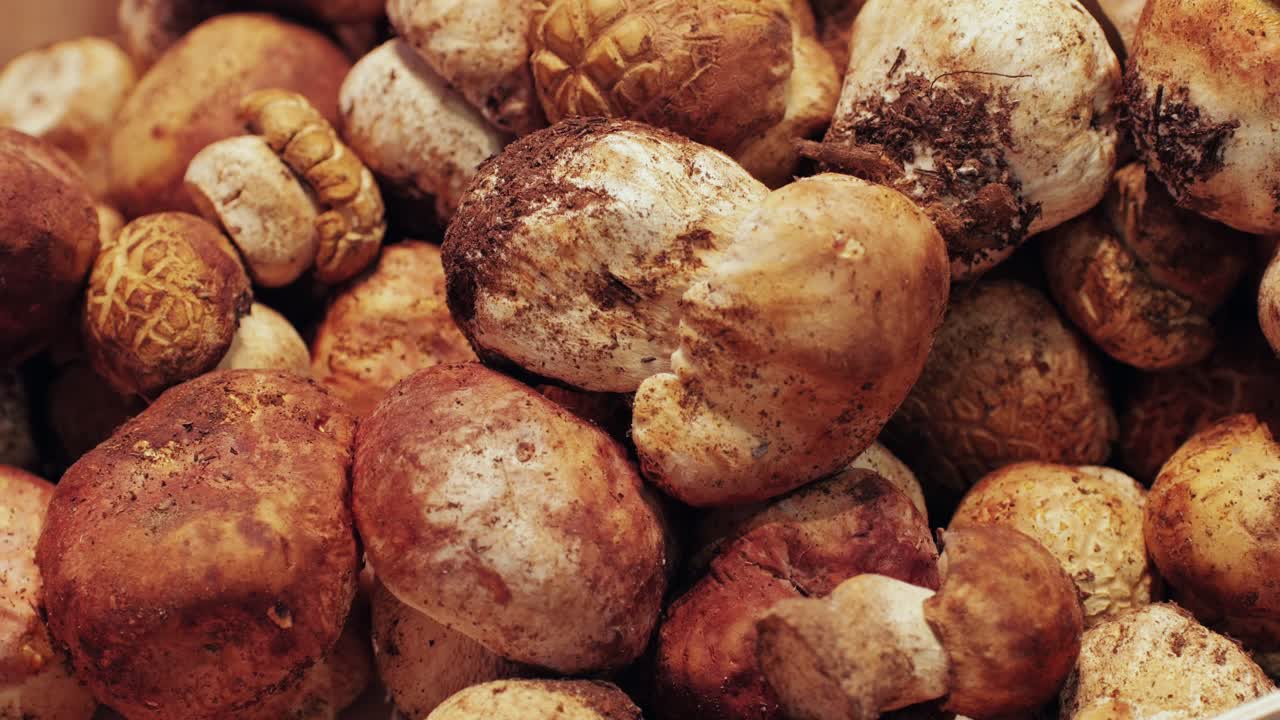 Photo of fresh porcini mushrooms, highlighting textures and earthy hues, great for culinary inspiration