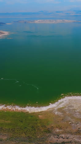 magnificent scenery of a lake, blue in the middle and green at the waterfront. amazing saline soda lake in mono county, california, usa. vertical video