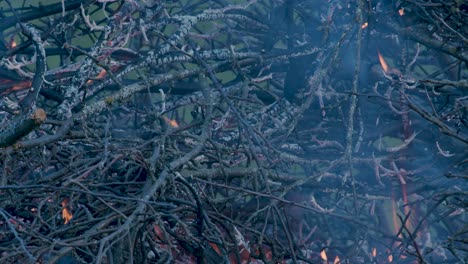 Burning-pile-stack-of-tree-branches-close-up-time-lapse