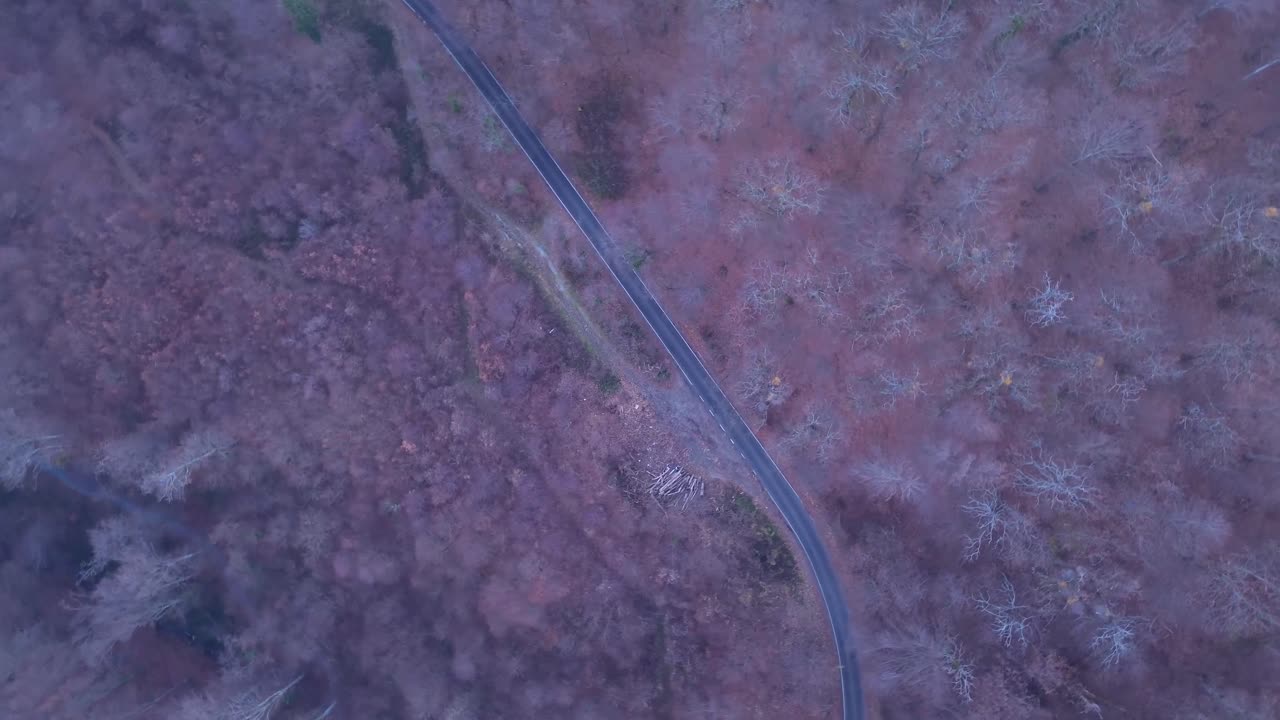Medvednica Woud is een populaire bestemming voor wandelen, fietsen en genieten van de serene natuur boven Zagreb