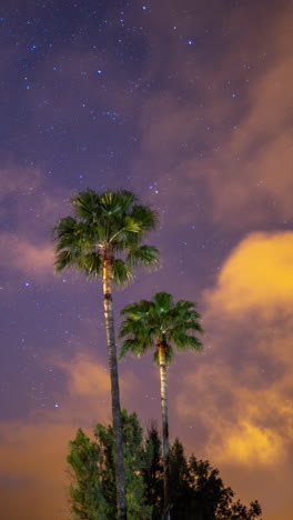 arid-volcanic-landscape-in-gran-canaria-vertical-video