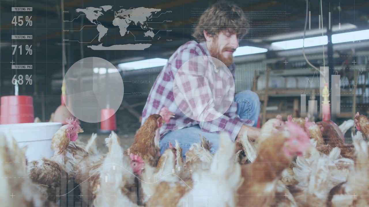 animazione dell'interfaccia infografica sull'uomo caucasico che nutre le galline in un allevamento di pollame