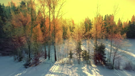 winter forest, sauna and bright sunset light, aerial fly backward view