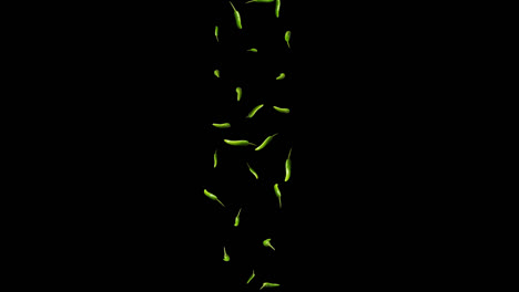 green chili falling down with alpha channel