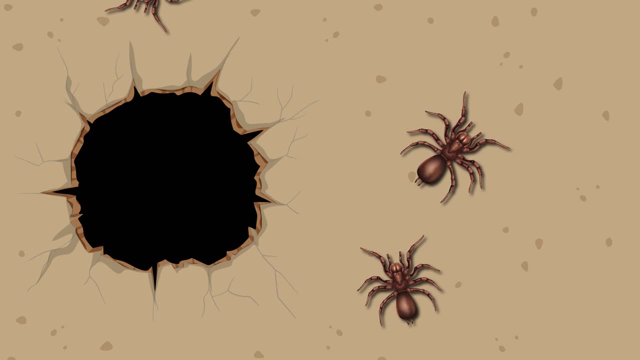 A spider moves around and into a dark hole on cracked ground. Smooth transitions and earthy tones create a mysterious mood