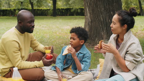 Schöne-Afroamerikanische-Familie-Spricht-Und-Isst-Beim-Picknick-Im-Park