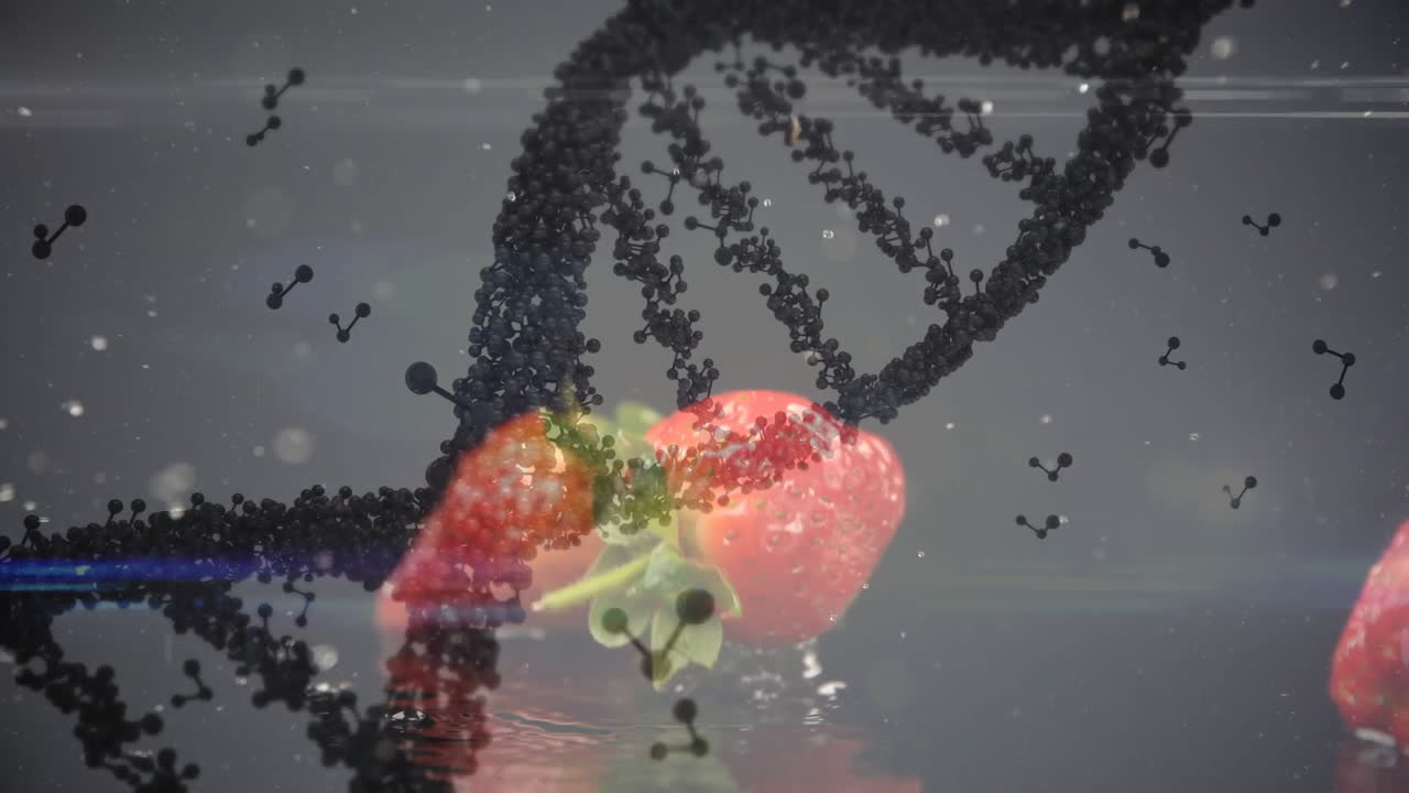 Animation of DNA strand and molecular structures over strawberries in water