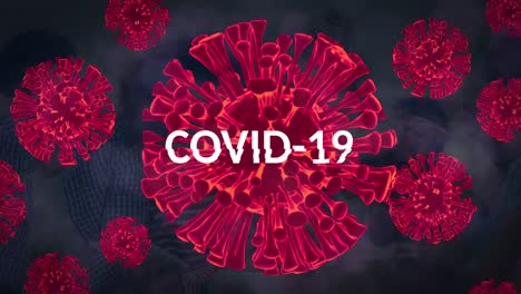Animation-Von-Covid-19-Daten-Und-Roten-Blutkörperchen