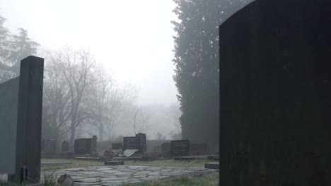 foggy cemetery morning