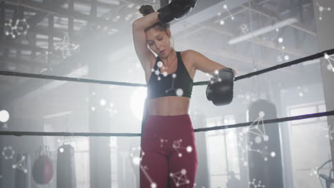 animación de moléculas y procesamiento de datos sobre mujer caucásica haciendo ejercicio en el gimnasio de boxeo